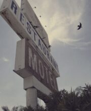 LP Thee BLIND CROWS: 08-23