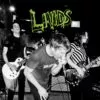 LP LIVIDS: Spoof Attacks (Singles And Other Stains 2011-13)