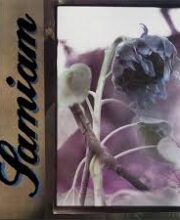 LP SAMIAM: s/t