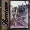 LP SAMIAM: s/t