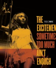 LP The EXCITEMENTS: Sometimes Too Much Ain´t Enough