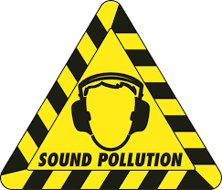 Sound Pollution / Wild Kingdom